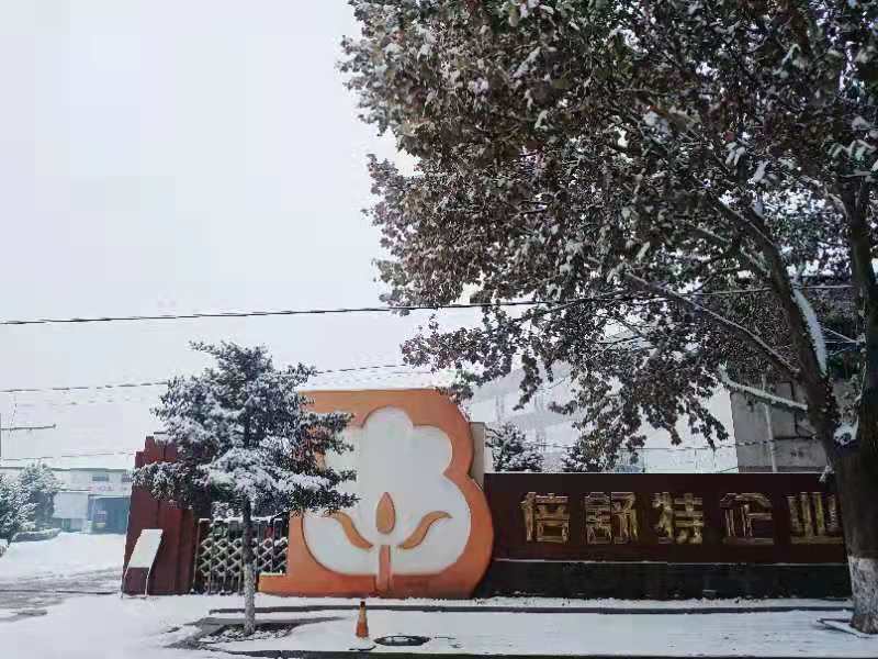 2019 Second snow in Beijing Beishute