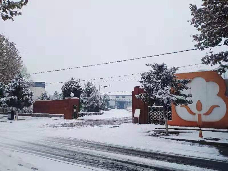 2019 Second snow in Beijing Beishute