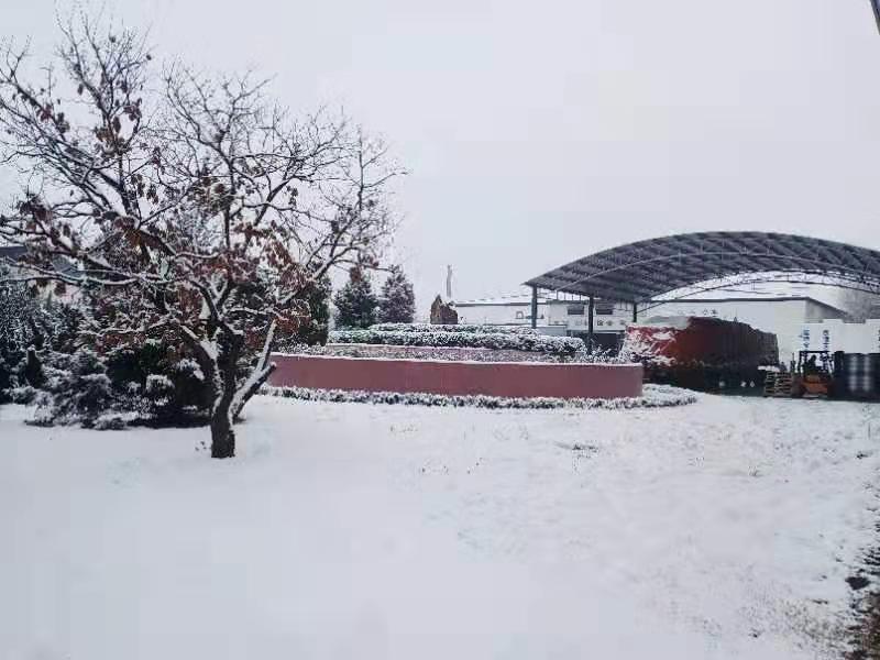2019 Second snow in Beijing Beishute