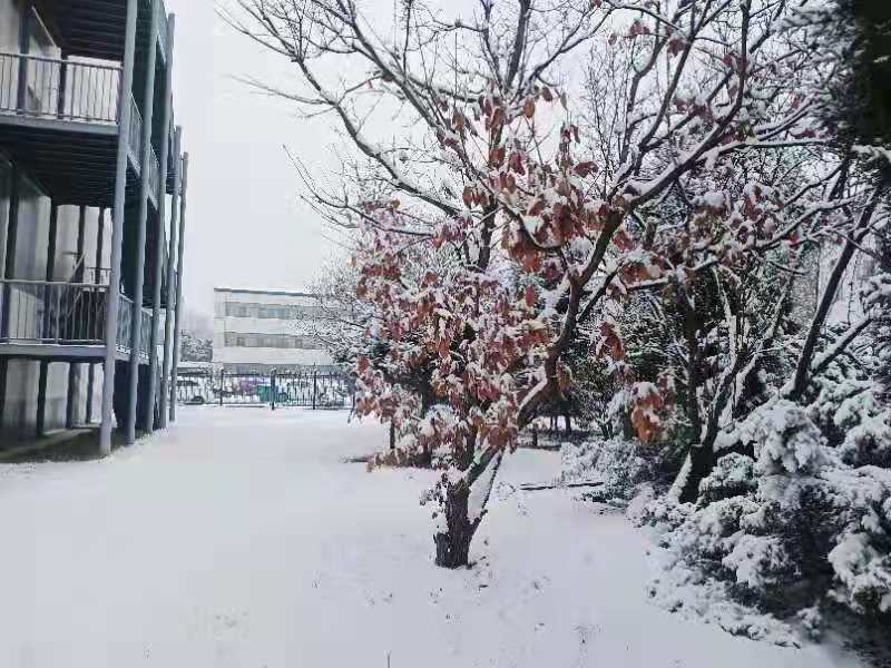 2019 Second snow in Beijing Beishute
