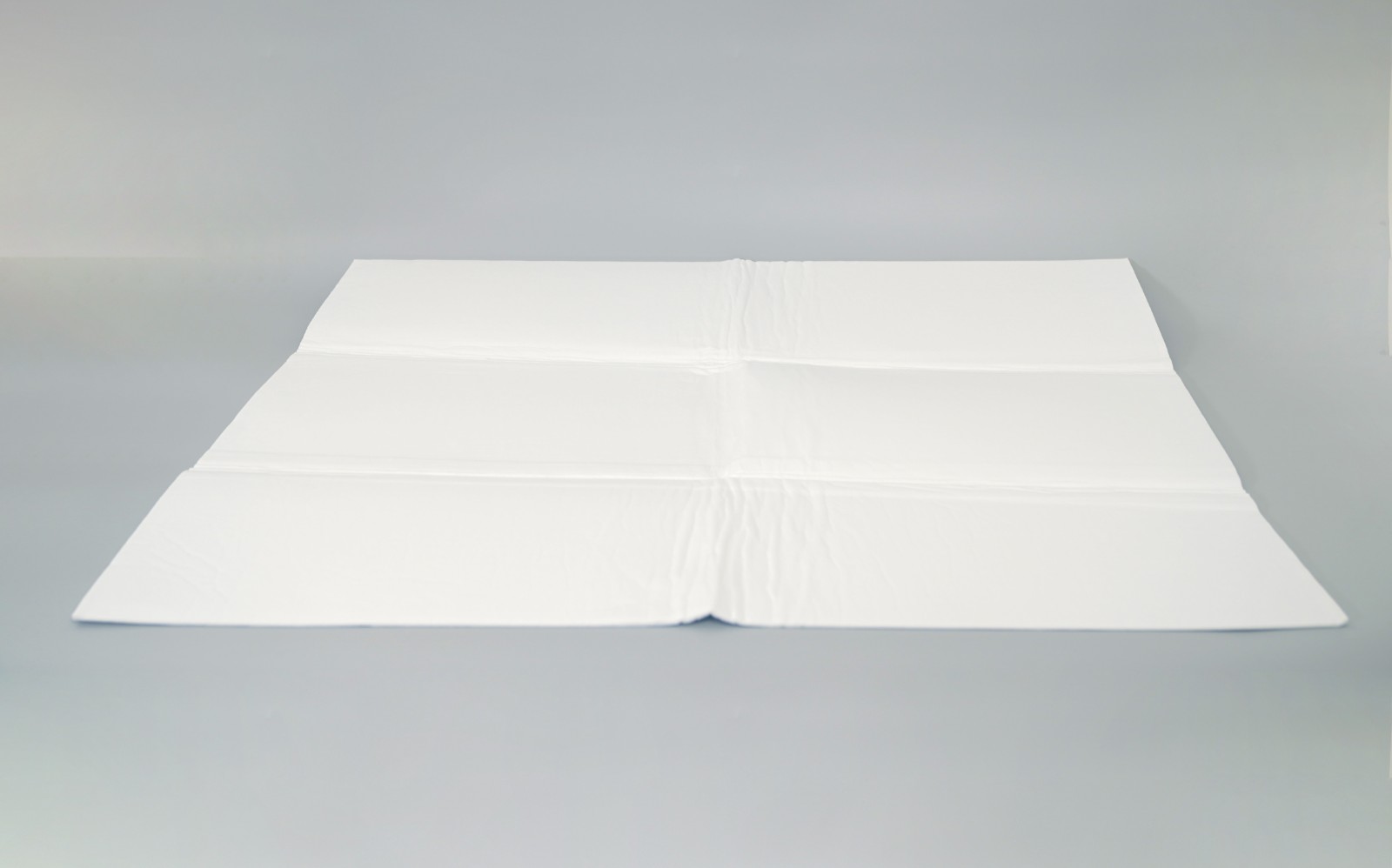 Anti Slip Disposable Floor Mat